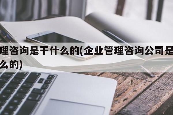 管理咨询是干什么的(企业管理咨询公司是做什么的)